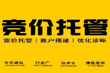 揭秘优秀SEM竞价代运营公司案例